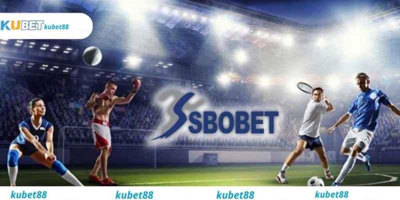 Các thông tin giới thiệu sơ lược về nền tảng Sbobet Kubet88